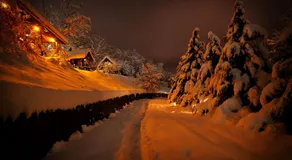 Ranč Platan - na sat od Beograda, Fruška gora - Image 5