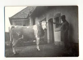 Dió-Lak Vendégház - Image 2