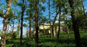 The Forest Resort - Muneeswaramudi Eco Hermitage and Farms - Image 5