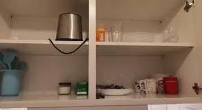 Sun life room - Image 4