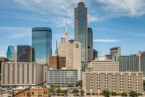 Luxurious Downtown Dallas Loft with Skyline Views - Image 5