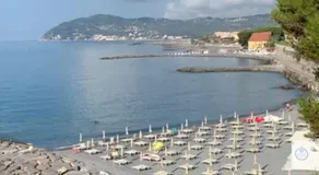 Bellissima Cervo - Image 3