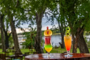 Azambezi River Lodge - Image 5