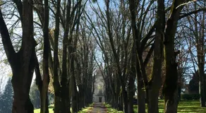 Château de Chasseneuil sur Bonnieure - Image 3