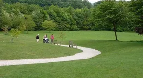 Home - Image 5