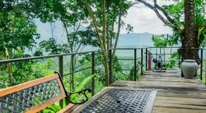 Heliconia Ledge - Image 3