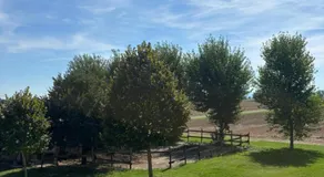Agriturismo Varana - Image 4