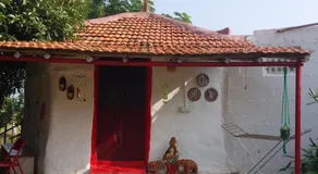 Aalamaram Farm - Image 4