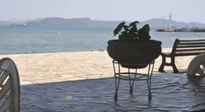 CASA LELA 1...όπως μια φορά...like once - Image 5