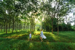 Niran Farm - Image 5