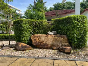 Palmresort - Image 3