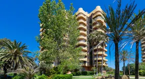 Salamar Saler Golf - Image 5