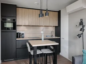 Tiny House in Scharendijke near North Sea Beach - Image 2