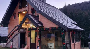 Brvnara Miris Bora - sa bazenom - - Image 5