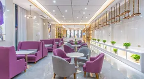 简阳枫悦麗枫酒店 - Image 3