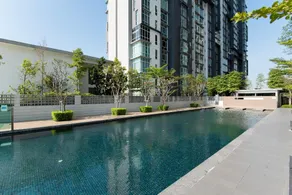 Modern Luxury Studio - Image 5