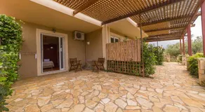 Delfinia - Image 5