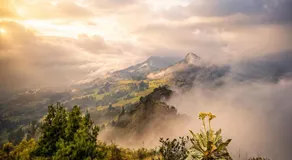 Basecamp Colombia - Image 3