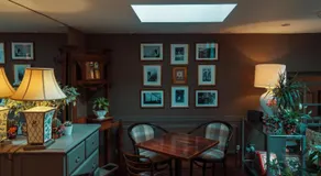 The Old Vine - Image 3