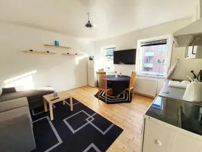 Struer Town Apartment - Image 4