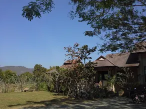 Jamjuree - Image 4
