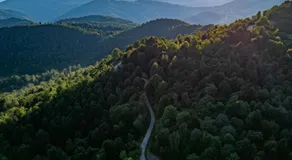 La Vrata Gialla - Image 3