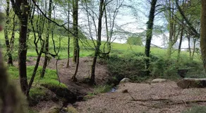 Le Domaine des Roches' L - Image 4