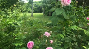 Thyholm B&B - Image 5