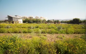 Natural Pearl Farmstay - Image 3