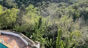 Hacienda La Trinidad - Image 3