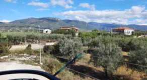 La Rosa dei Venti Apartments - Image 4