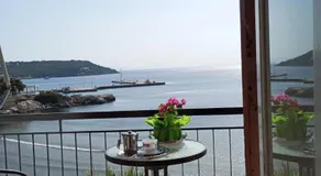 Svetlana & Michalis Oasis Hotel - Image 3