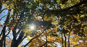 ハノイペンション - Image 5