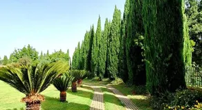 Villa Lucilla - Image 5