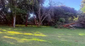 Zim Safari Guest Lodge - Image 5