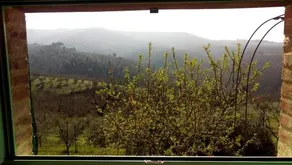 La Giuiaia - Agriturismo Azienda Agricola - Image 4