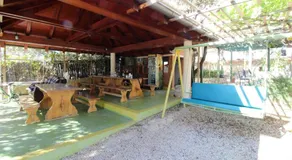 Apartments Karas on the island of Pag - Image 4