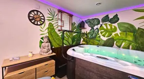 Le refuge de Bergheim - Proche Colmar - Sur la route des Vins - Studio de luxe avec Jacuzzi Privatif - Image 5