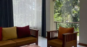 Mount Airy Kandy - Image 2