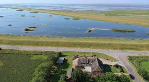 Deichhus Nordseeliebe direkt am Deich - Nordsee - Dagebüll - Am Vogelreservat - Image 2