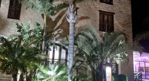 Y & P LATCHI HOTEL - Image 4