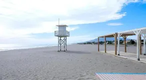 Faro - Image 4