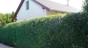 Kinga House - Image 5