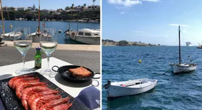 Pardela Menorca - Image 4