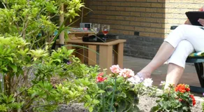 Achter de Beukenboom - Image 5