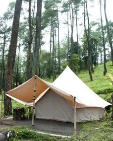Lembah Pinus Cikole - Image 2