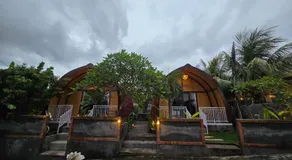 Eco Moringa Garden - Image 4