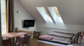 Ferienland Sonnenwald Fewo 46 und Studio 50 in Schöfweg Bayerischer Wald - Image 2