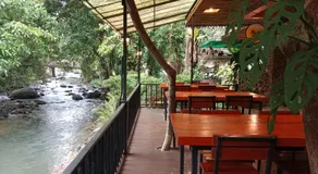 Tree Tops River Huts - Image 3