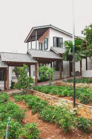 Gỗ Bungalow & Homestay - Image 3